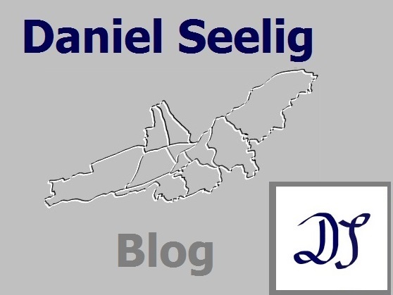 Daniel Seelig-  Blog